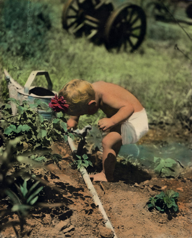 artist gardening