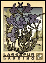 Larkspur graphic